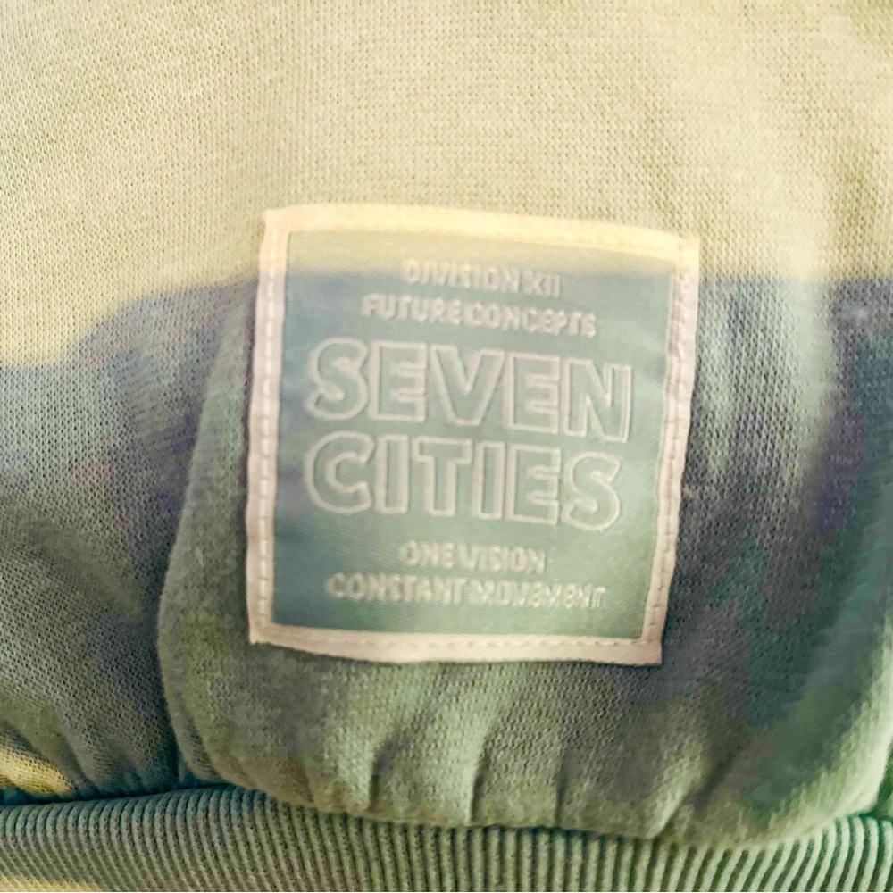 H&M Divded ssift sweatshirt Seven Cities. Color is a pale beautiful fall green.